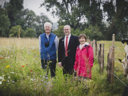 Natur-Blumenwiese Bislicher Inseln Xanten 0624